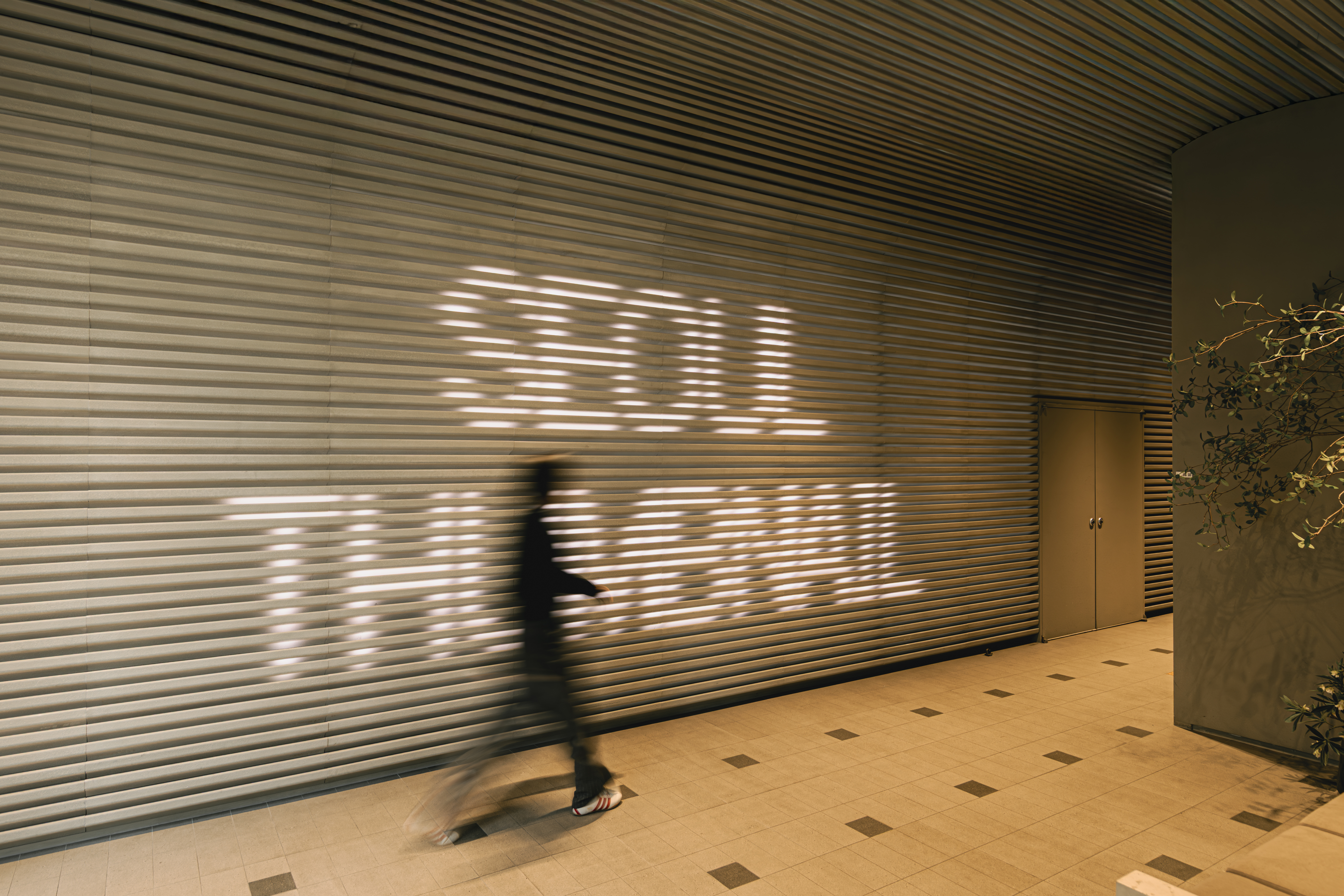 P1070413-향상됨-노이즈 감소 복사.jpg