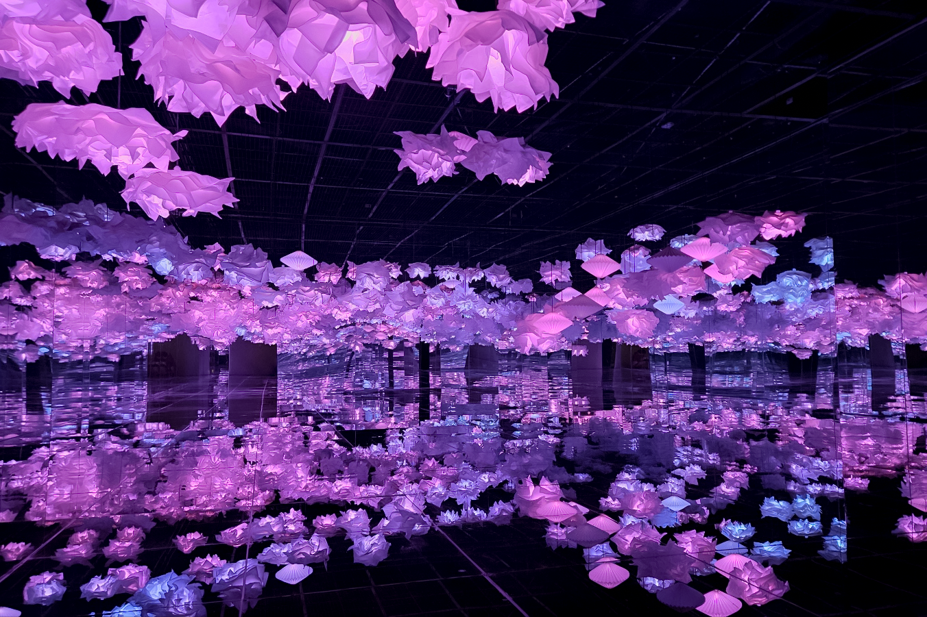 blossom_02.png