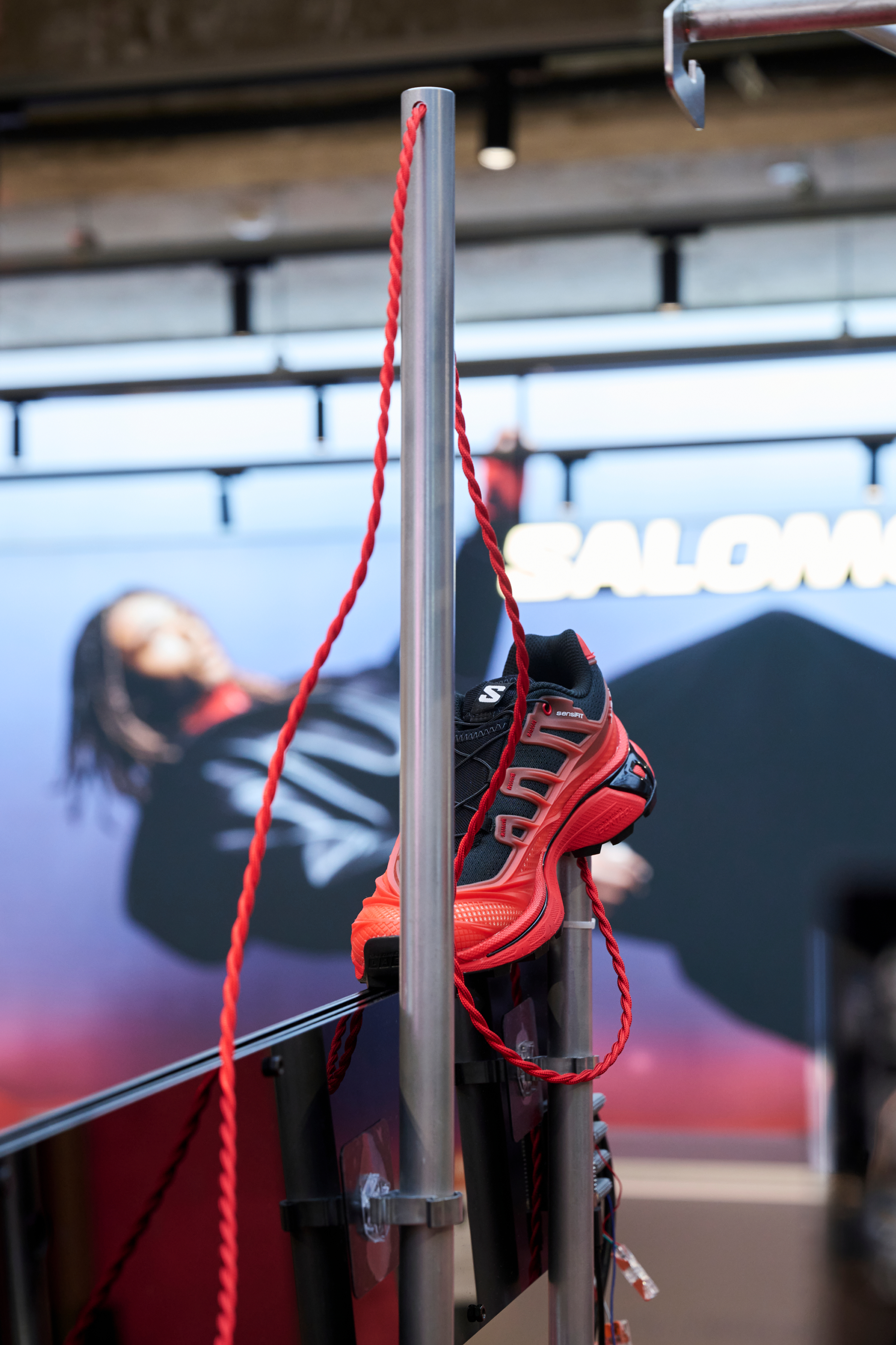 Salomon_10.png