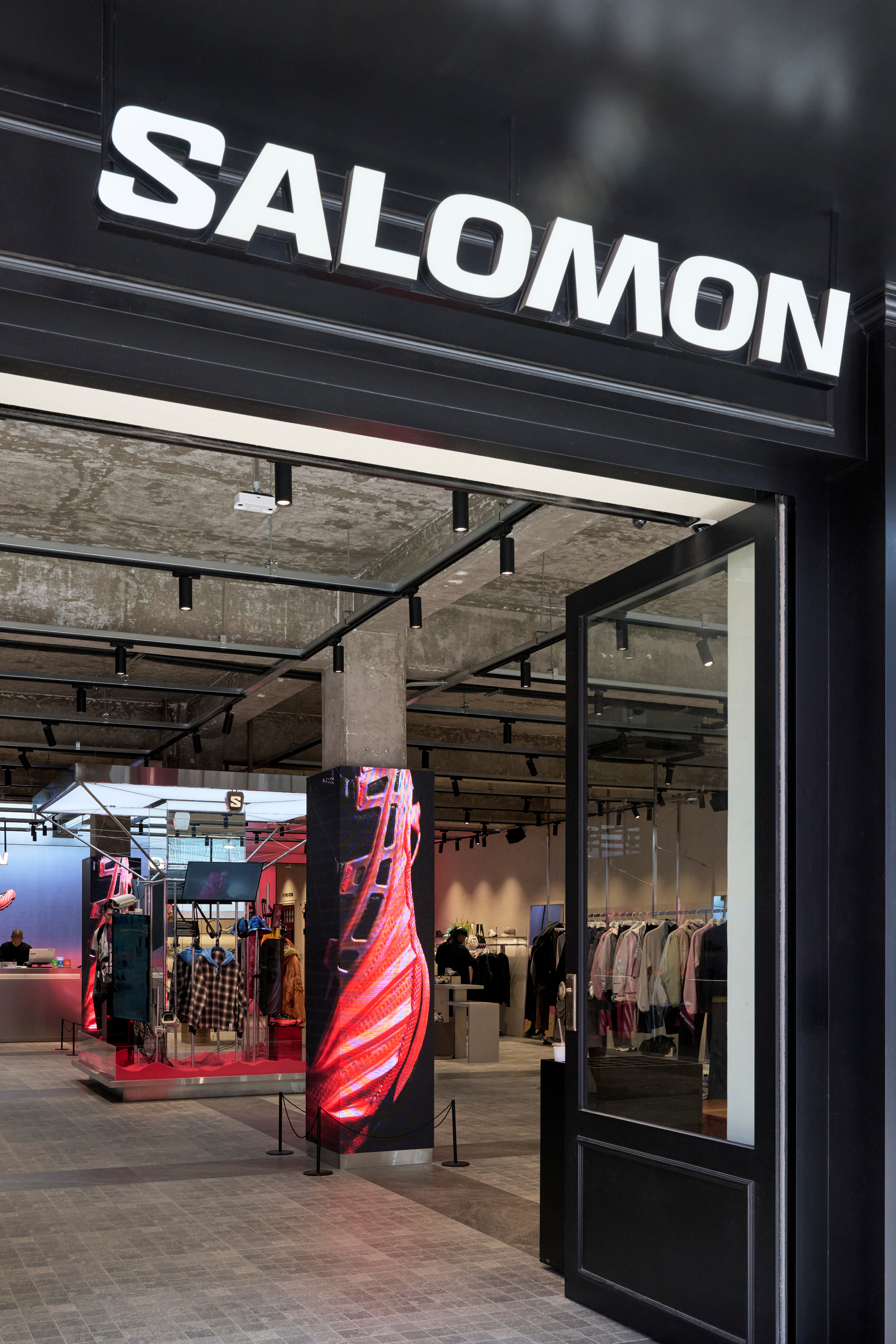 Salomon_02.png