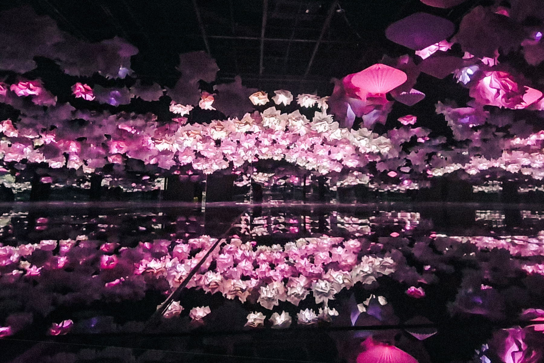 blossom_0-4.jpg